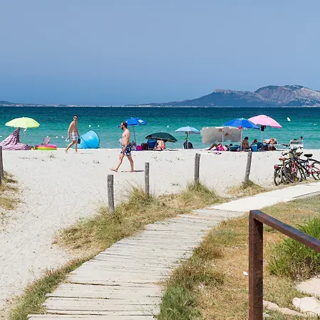Myrsine 13-4 * Olbia
