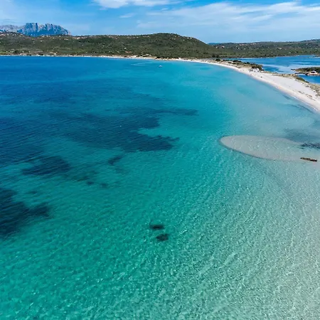 Appartement Myrsine 13-4